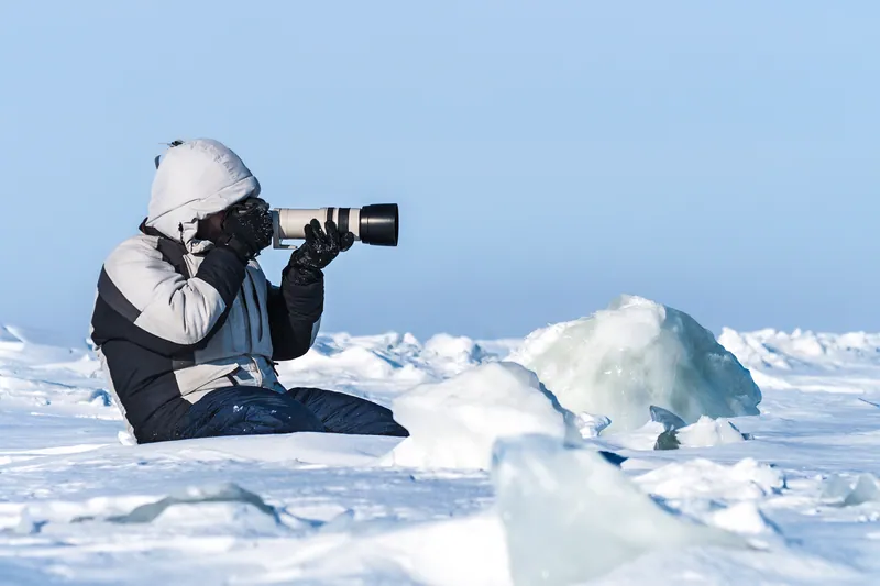 Wildlife Photography