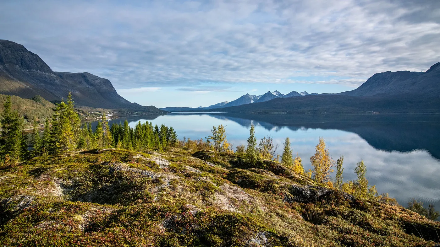 Calm fjord with mountains and autumn colours